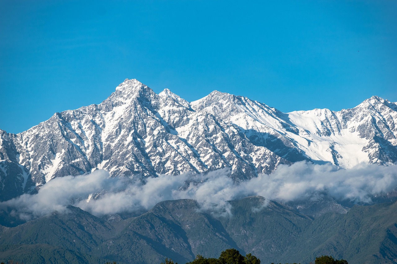 Is Best Cricket Betting App Complete Guide Legal in India? Full Legal Analysis 2026